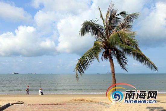 ����Ҭ��ȾҬ��Ҷ����ҵ���ţ��޷����οɿ���