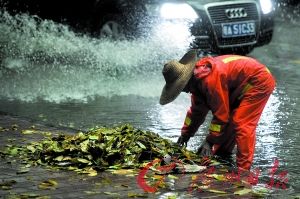 �ϰ�߷��������