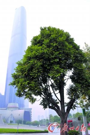 ������ʺ���Ҿ߻ƻ������ҿ���ҩ