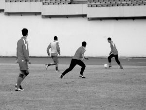 ����ѵ���κ�ץϸ����Ң����������Ա�ܾ���