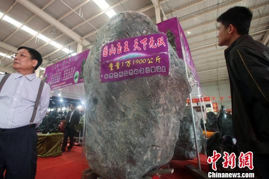 ��Ԫ��ۡ�����������ɽ�������鱦չ