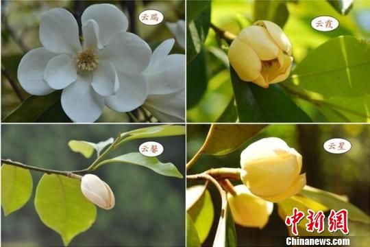 4����Ʒ��ͨ��ʵ�����