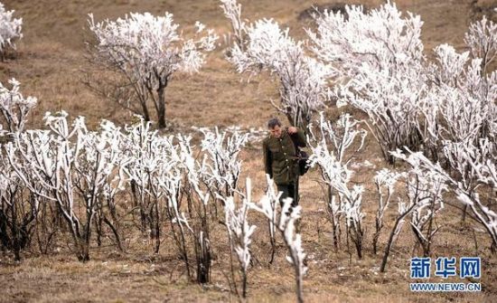 一周面孔：赵普回应停职传闻女商人变身副县长惹争议