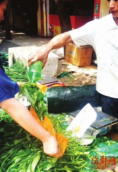 抽查14个蔬菜样本暂未检出甲醛