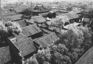 ˭���㽭������̬����