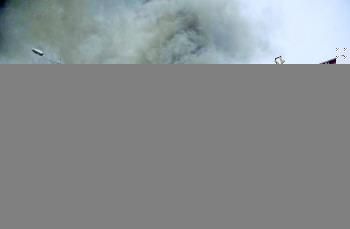 ��Сʱ����ջ��������綯��