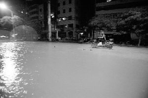 ������������������Ϯ���