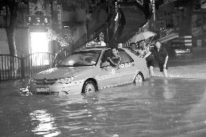 ������������������Ϯ���