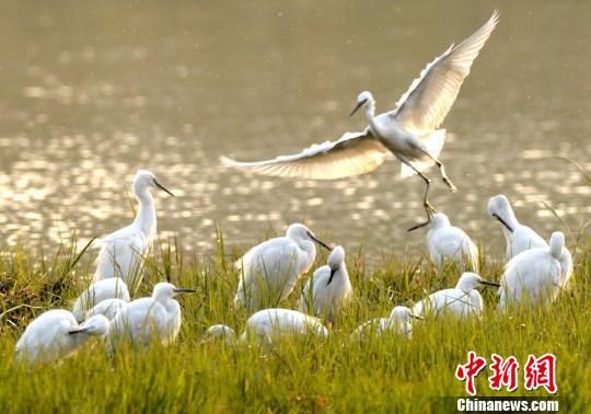 ʪ�ع�԰���������������조�й�ˮ�ǡ�