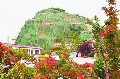 5月21日在旅游路洪山公园拍摄的利用柔性生态防护长袋法绿化裸露山体