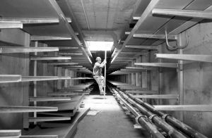 浑南地下管廊 宽敞能跑人