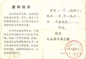 不为人知的知青群体:缅甸丛林中的切·格瓦拉