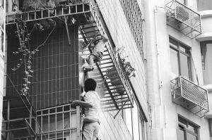 ʮ�������������