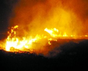 �ո�������Ϊ�ν����ա��ơ���