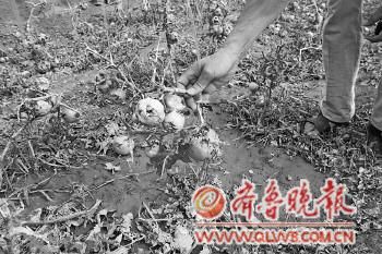 ��ʡ�������Ϊɶ�ر��