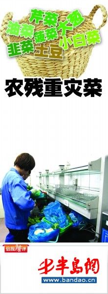 叶菜最易农残超标食用前最好浸泡两三个小时