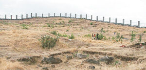 晋宁将建古滇国景区 列入全省重点打造的十大