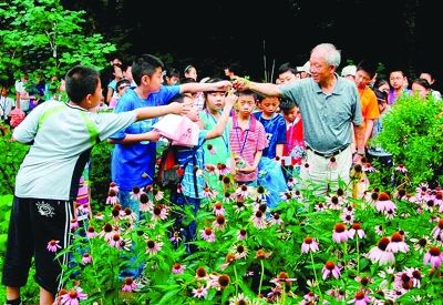 显微镜下看植物细胞长啥样