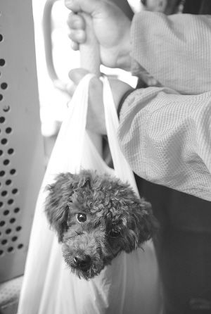 ����·�޺���զ�����ˡ����¡�