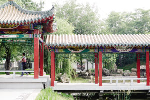 ���µ��Ĵ��˺���԰��԰ӭ��