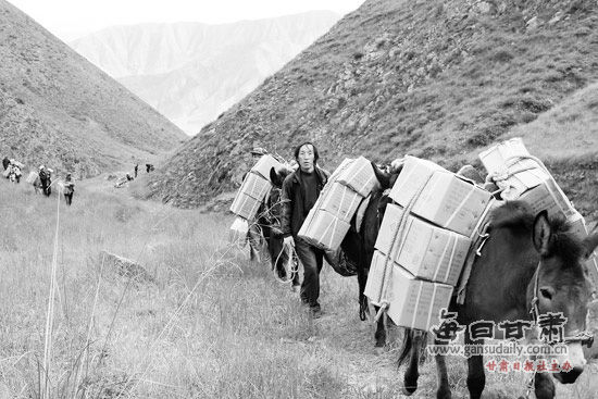 ��Զ��˼ɽ��Ķ���������溦��ҵ���Ų�ȡ�ɷ����˷��������