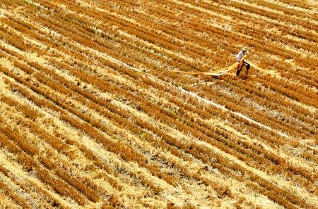 ���ϳ������鲿�ָ����޷�����