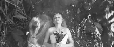 һ�����˻�ζ�������