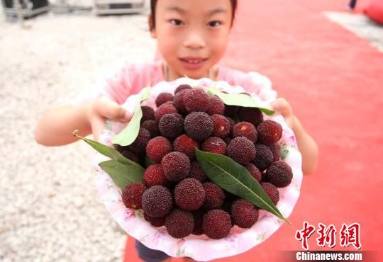 ������÷��ɽ������������԰֮��