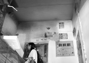 ¥���δ�׸ߴ������š�ʡ�ԡ���