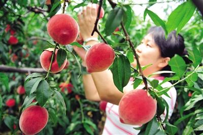 平谷速度距离随心所欲