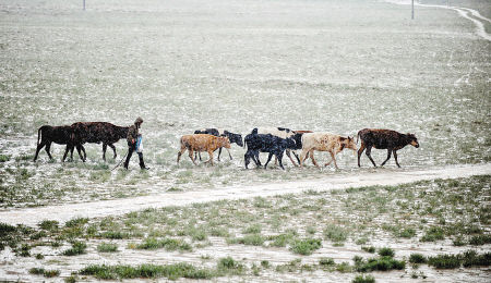 ��Ž����ֿس���ƻ����췵��