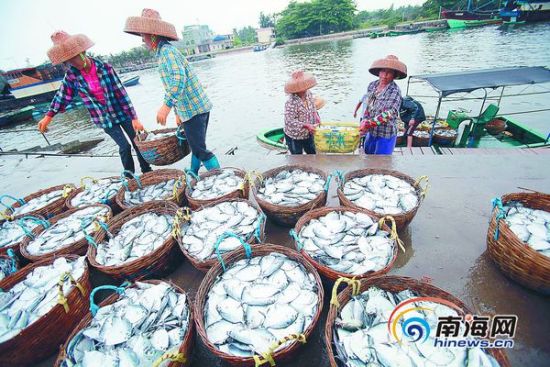 琼海渔民南沙打渔20年:见到国家巡逻船像见亲人