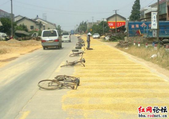 ����ũ�������г�ռ��ɹ��������Ϸ�ơ��乤�ӡ�����