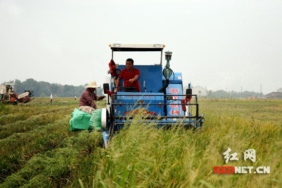 ����ʡ�����絾������������Ԥ���ܲ�������7�ڽ�����