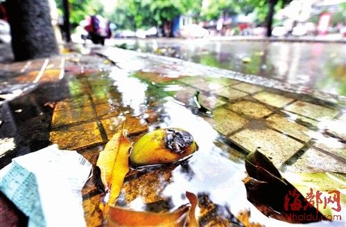 ժ�ֱ�â����ˤ������