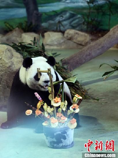 ��̨��èԲԲ��ʱ��������16�ս�����