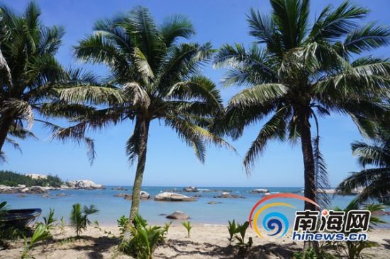 �Ĳ���¥�����Ժ�����ɫ���캽�����С��