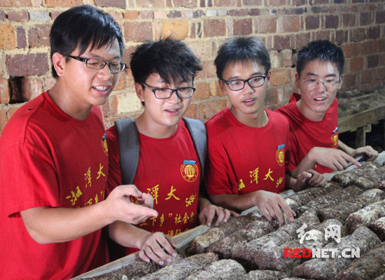 ���ʦ��Ϊ��̶����ũ�����������������С�