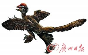 “辽西恐龙”来河源展出
