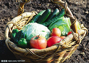 9月兰州肉菜油米齐涨价价格比8年前翻了3倍多