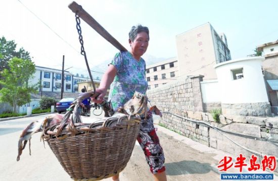 红尘外碧海边400岁青山村正申请国家级传统村落