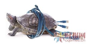 你家的宽带“龟速”了吗