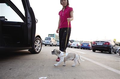 ���ڸ��ټ����˺�(1)