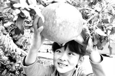 ʯ���辰���ߡ��ķ�