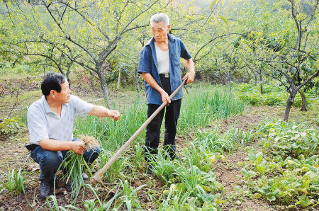 ƶ��������ȫ��������