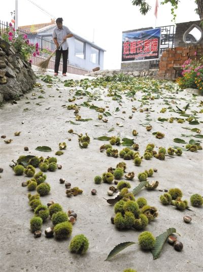 长城脚下打造国际“地球村”