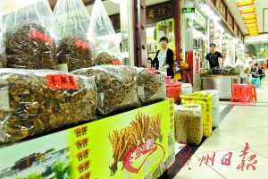 清平市场虫草逐条“照X光”体检
