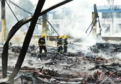 �����Ż�10����ˮ��Ư����ɫӲ��