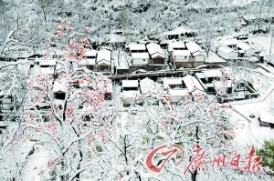 北京暴雪连降40小时