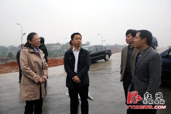 省经协办调研岳阳县招商引资项目建设